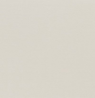 тюль светлого оттенка Silenzio CS 05 